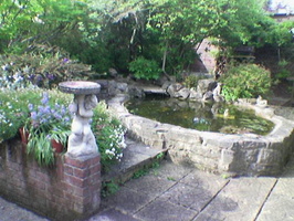 Original Garden