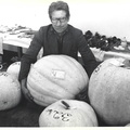 Joshua Dawson b. 1922 pumpkins