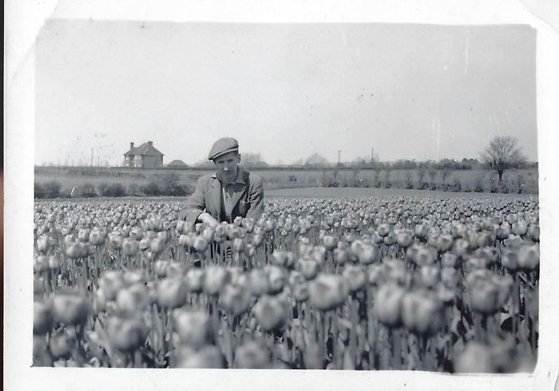 Joshua Dawson b. 1922 tulips.jpg